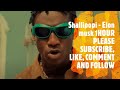 Shallipopi Elon Musk 1 Hour Song