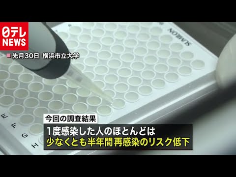 新型コロナ抗体研究開始:結果はこうして役立つ