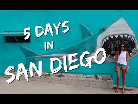 SAN DIEGO, CALIFORNIA.  | Travel Diary Video