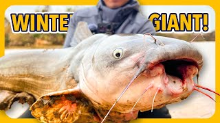 We Caught The Most INSANE Winter Catfish Ever!
