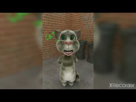 Talking Tom Beatbox Solo