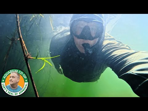 Aquarium Co-Op and 2 more