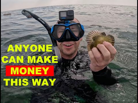 When SCALLOPS are EXPENSIVE so you just get them yaself