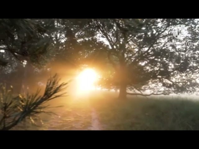Video 3