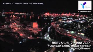 Winter Illumination in YOKOHAMA