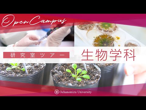 【学科紹介】生物学科研究室ツアー