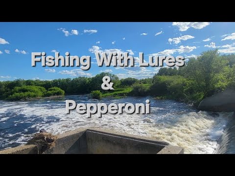 Fishing With Lures &amp; Pepperoni.