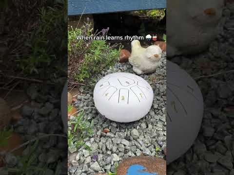 Every drop knows the rhythm🤧✨#garden #instrument #rain #home #drum #nature #relaxing