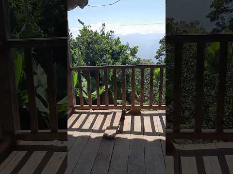 Desde una hermosa casa en Las Paltas, Loja, Ecuador