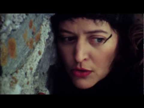 Bibi Vaplan - Fliegenromanisch