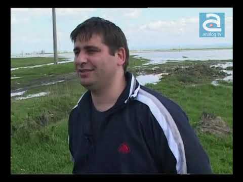 Navetistul Banatean - Moravita