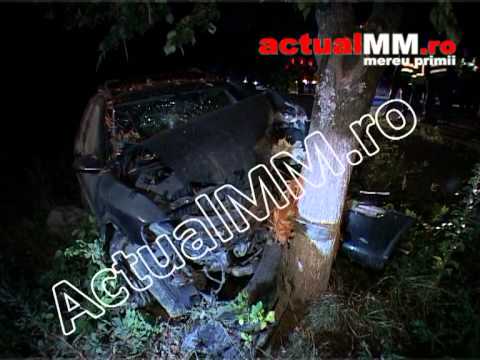 acc stejaru actualmm