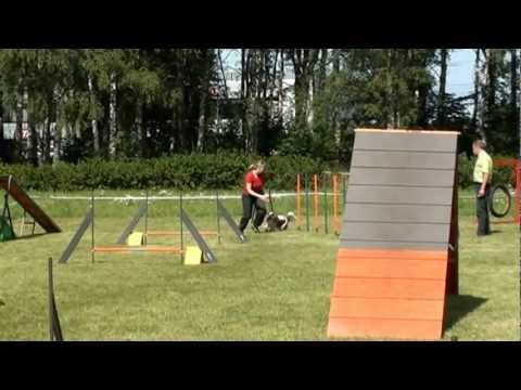 A-koer: Kaire ja Winston A1 - 2. agilityrada (12.08.12)