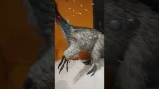 More dinosaurs with feathers!