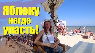 Рыболовные база на азовском море