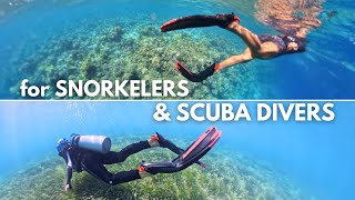 Cressi Maui Fins – Reviewed by Snorkelers & Scuba Divers