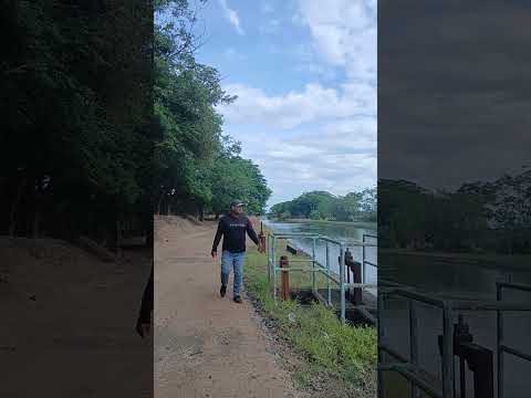 un sabado en canales de riego en cañas guanacaste