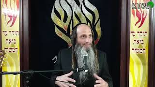 הרב מאור קריו   ישמחו השמיים (הרב מאור קריו) - התמונה מוצגת ישירות מתוך אתר האינטרנט יוטיוב. זכויות היוצרים בתמונה שייכות ליוצרה. קישור קרדיט למקור התוכן נמצא בתוך דף הסרטון