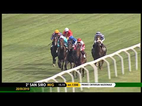 2019.09.28 Premio Criterium Nazionale (ITA) - Wootton's Colt