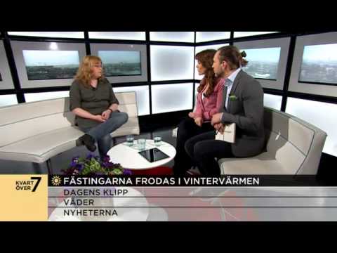 Kvart över sju - dagens snackisar - Nyhetsmorgon (TV4)