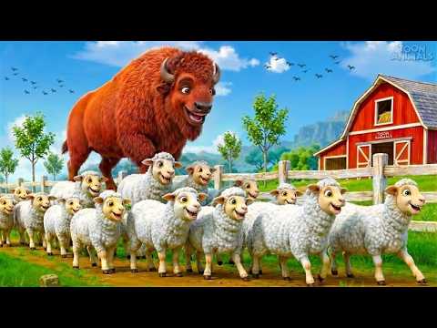 Gentle Giant Bison Saves Lambs! 🐑 Epic Wildlife Protection!