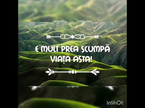 E mult prea scumpă viața asta!