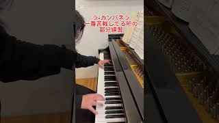 Download lagu リスト ラ•カンパネラの難所その4 部分練習 #クラシック #弾いてみた #piano mp3 Download lagu リスト ラ•カンパネラの難所その4 部分練習 #クラシック #弾いてみた #piano mp3