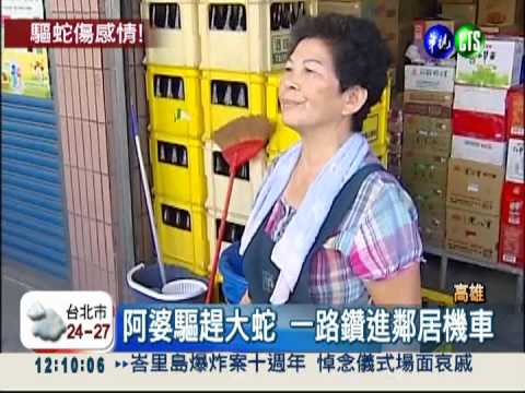 阿婆趕蛇鑽鄰車 厝邊變冤家!