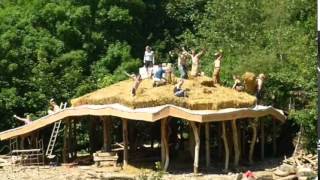 Pull down your hobbit home, couple told: Eco house made from straw and wood is harmful