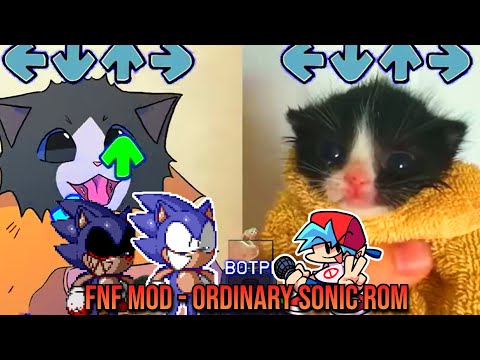 Ordinary Sonic Rom BUT Towel Cat VS ANIMATED TOWEL Cat? - FNF Animation - VS SONIC.EXE