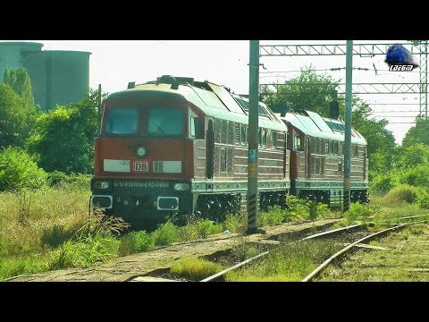 BR232 Ludmilla 65-1014-8 & 65-1005-6 RO-DBC Dieseloks in Gara Ploiesti Sud Station- 10 August 2017
