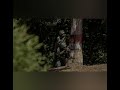Indian Army Shayari Status Video Fouji Status Video New Indian Army Status Video Army Dream Status