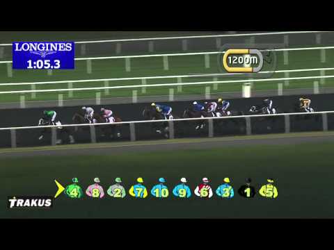 27.02.2014 Meydan (Dubai-UAE) 6.Race Al Naboodah Cargo Centre Trophy - Handicap 2.200 m