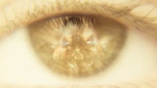 Mothra & Shimo Hidden in GxK: The New Empire Trailer #2