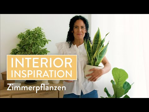 Trend: Zimmerpflanzen I Interior Inspiration I Westwing