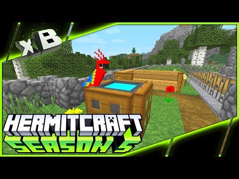 IMPROVEMENTS! :: HermitCraft Season 5 :: Ep 75