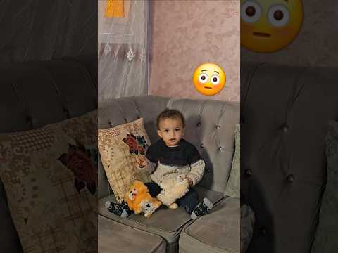 😳🐕 #funny #comedy #omegletv #memes