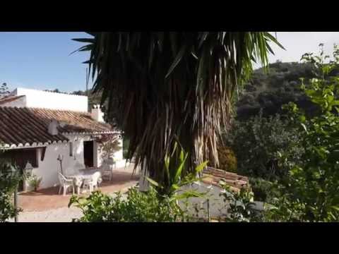 Country House between Riogordo and Comares, Malaga, Andalusia  -  rg1294ch