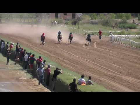 Carrera 7 Distancia 500 Mts PREMIO CARNAVAL