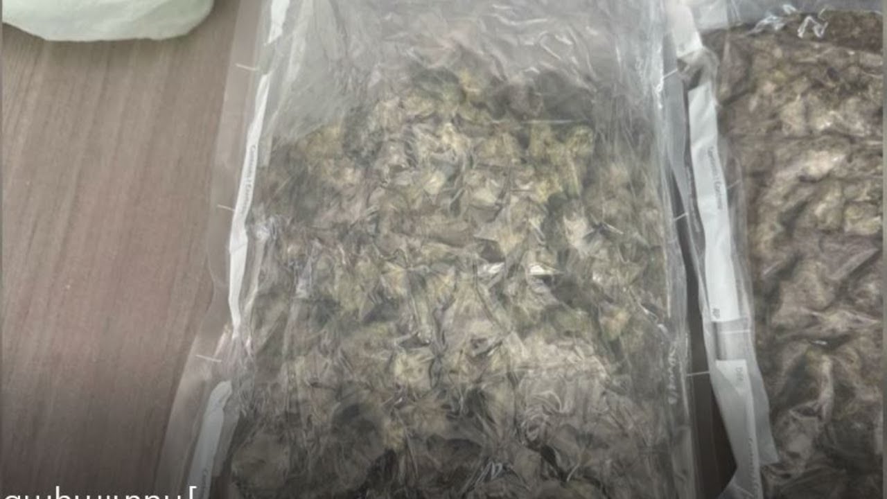 Միջազգային սուրհանդակային առաքանուց հայտնաբերվել է 970 գրամ մարիխուանա տեսակի թմրամիջոց