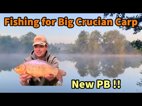 Feeder Fishing for BIG CRUCIAN CARP at Sutton - NEW PB plus 2lb+ Roach..! EP13