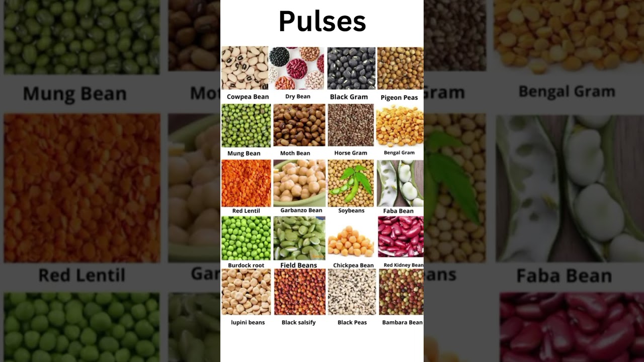 pulses | pulses names in english | #grammar #vocabulary #english