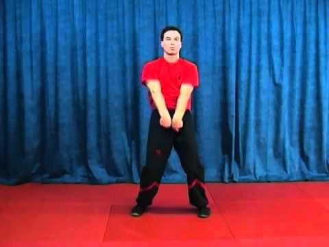 Siu-Nim-Tao-Form-by-Sifu-Martin-Dragos