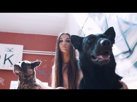 SuperStereo feat. Dé - Vakvilág (Official Music Video)