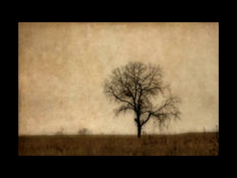 Dialogu mes Ibrahimit (alejhi selam) dhe babait të tij në Diten e Gjykimit - Ahmed Kalaja