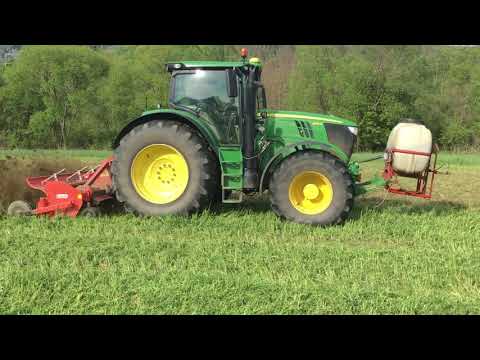 Wickroggen als Vorfrucht vor Mais - Flächenrotte mit EM