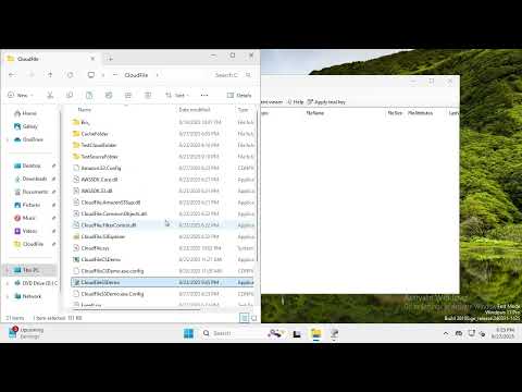 CloudFile Virtual File SDK Demo