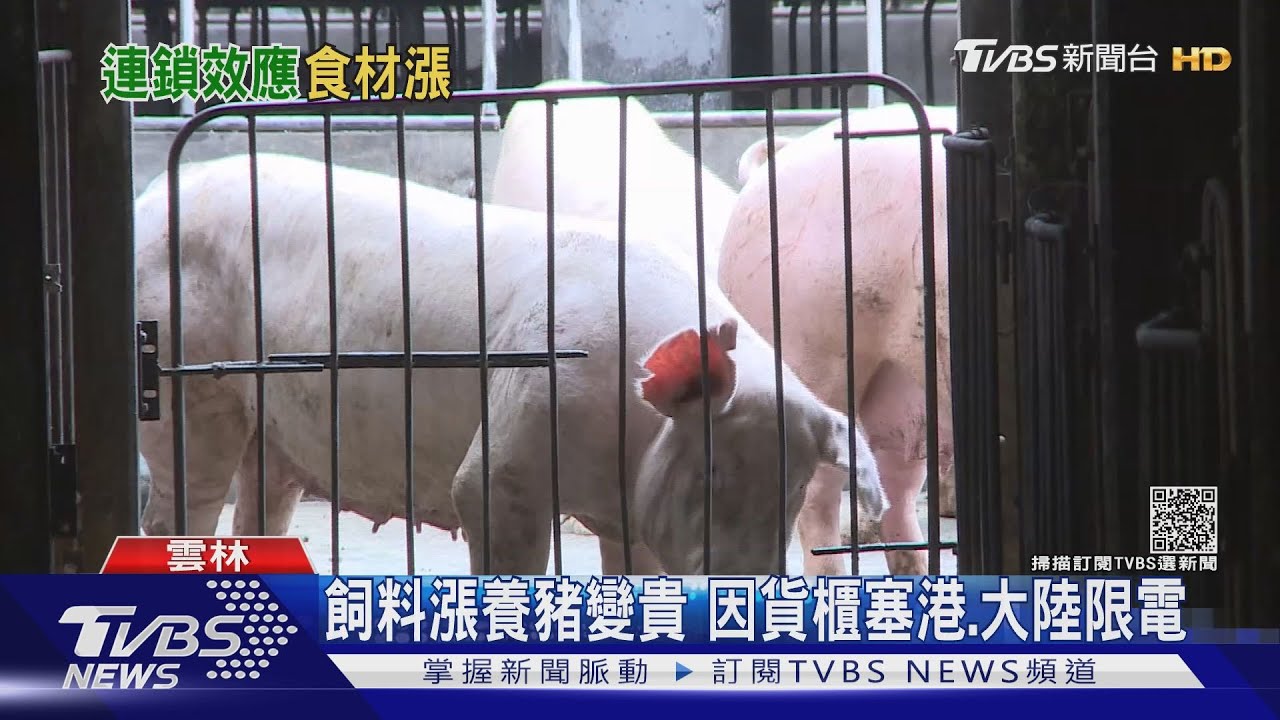 飼料漲養豬變貴　因貨櫃塞港、大陸限電