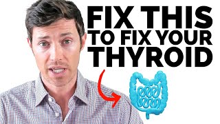 Naturally Increase Thyroid Function by 20%+ (The Gut-Thyroid Connection)