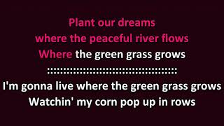 Tim McGraw - Where The Green Grass Grows